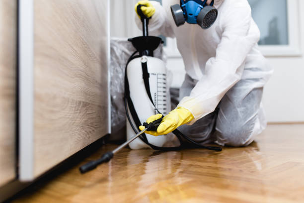 Best Termite Control Services  in Airmont, NY
