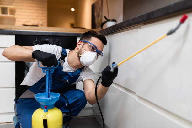 Best Cockroach Control Services  in Airmont, NY