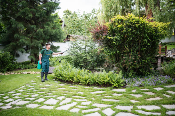 Best Pest Removal Services  in Airmont, NY