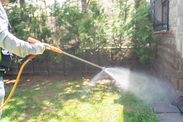 Spider Control Near Me in Airmont, NY