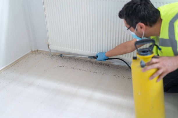Pest Control for Restaurants in Airmont, NY